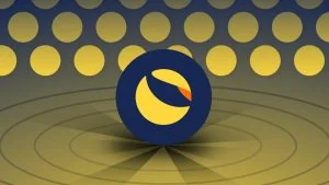 Luna Foundation Guard ha perso tutto il suo capitale: rimasti in cassa solo 300 BTC